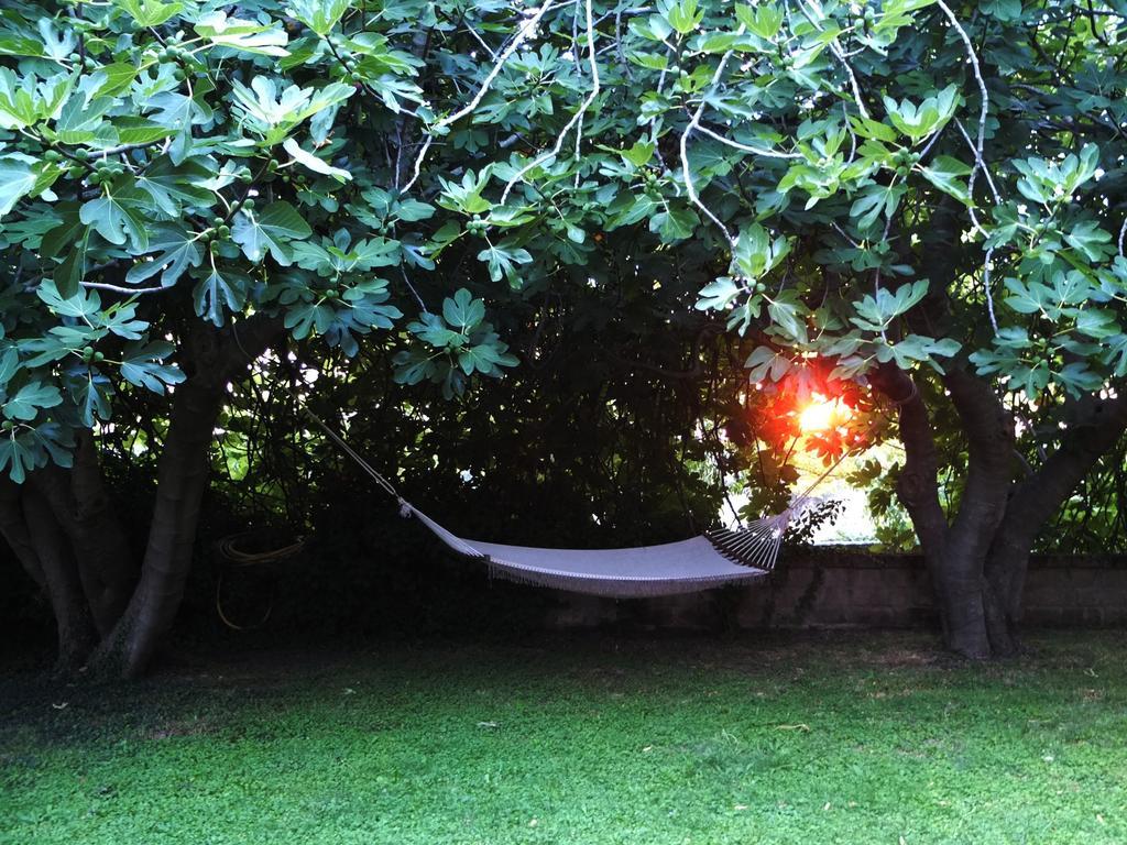 Agriturismo Locanda Pantanello ปีติญาโน ภายนอก รูปภาพ