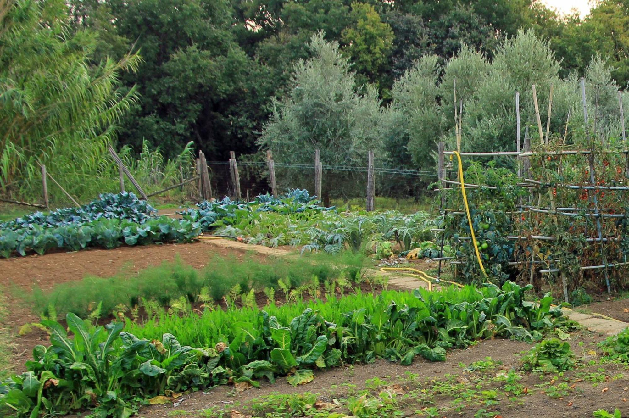 Agriturismo Locanda Pantanello ปีติญาโน ภายนอก รูปภาพ