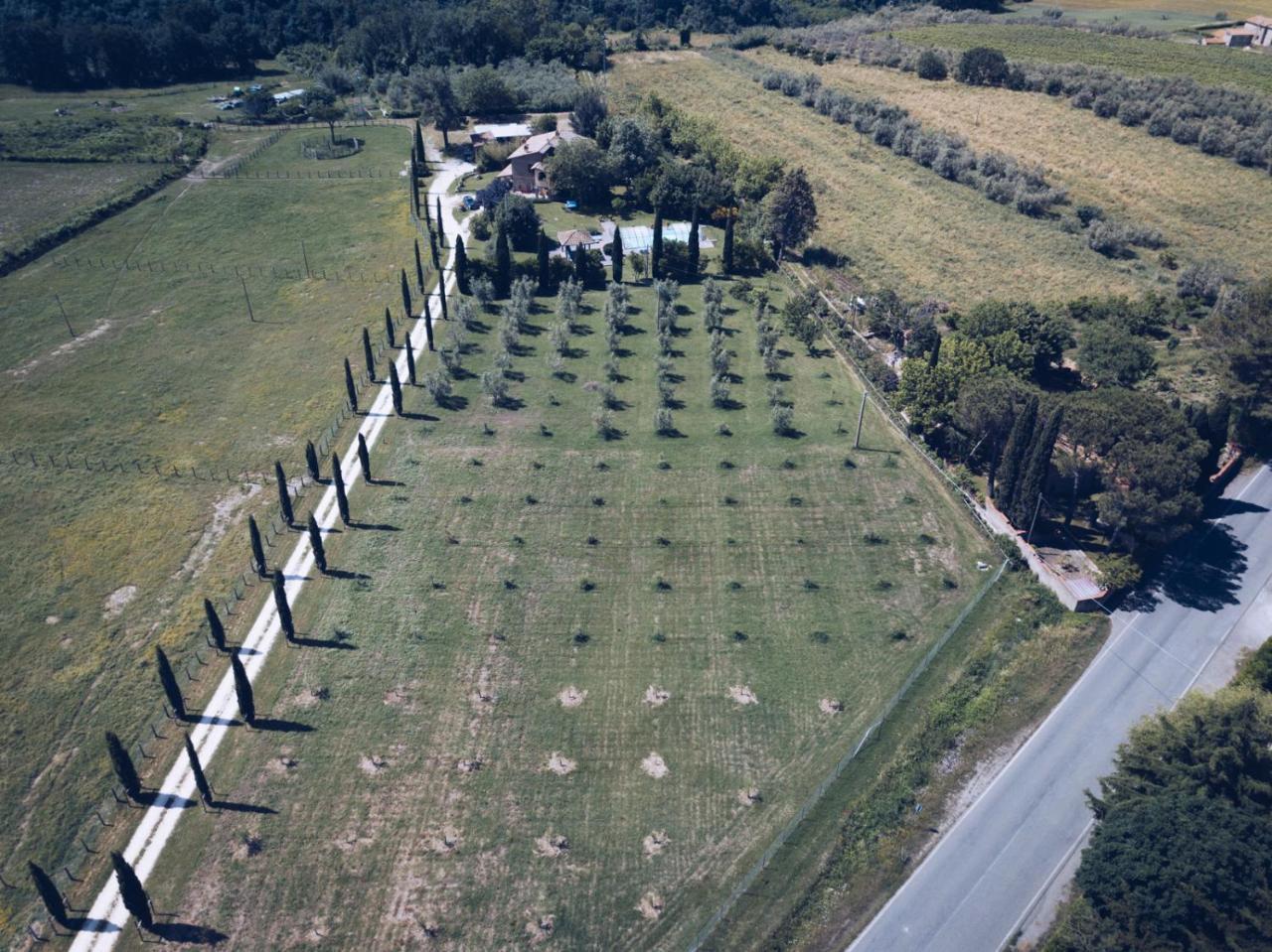 Agriturismo Locanda Pantanello ปีติญาโน ภายนอก รูปภาพ
